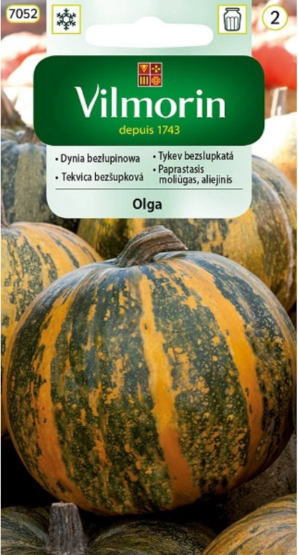 Dynia Zwyczajna Olga bezłupinowa 2g nasiona 2 sklep rajogrodnika